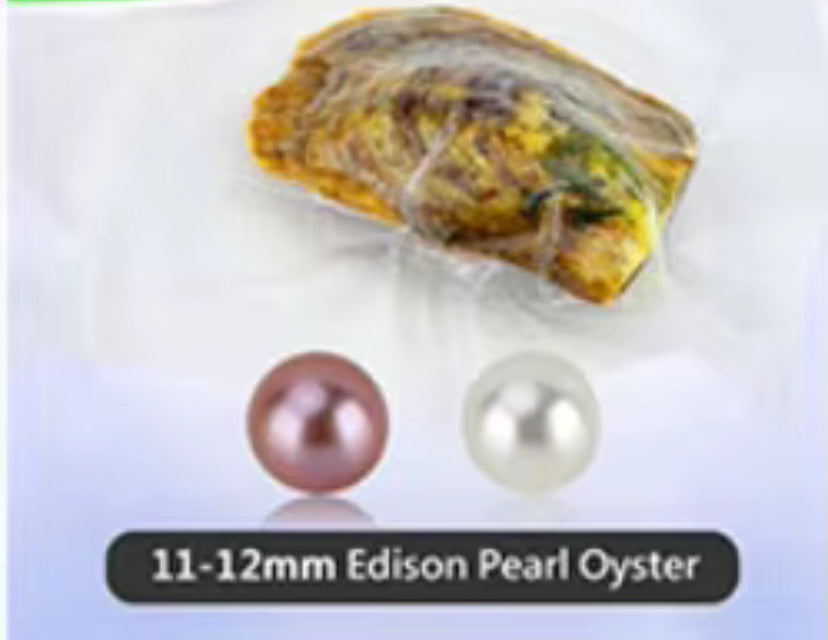 Classic Edison Oyster